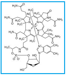 Vitamin B-12 C-Lactam